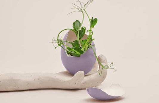 How to Increase the Chance of Getting Pregnant: Expert Tips