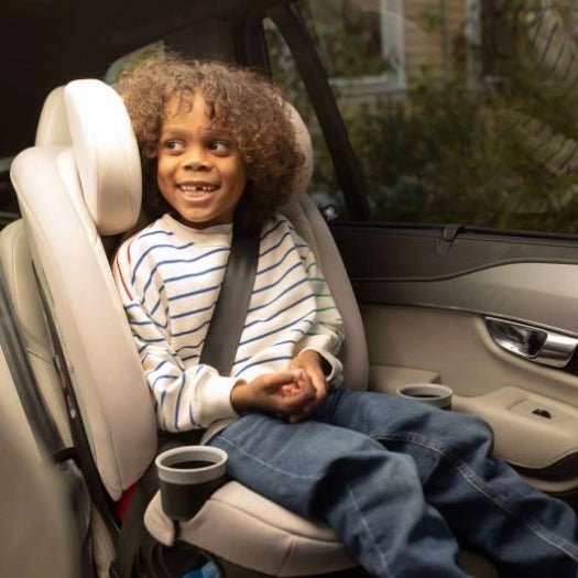Maxi cosi magellan safety sales