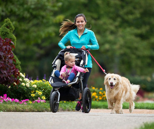 The Best Jogging Strollers: 5 You'll Love From ANB Baby - ANB Baby