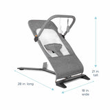Baby Delight Alpine Deluxe Portable Bouncer-Charcoal Tweed_5 - ANB Baby