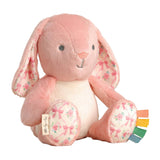 Itzy Ritzy Sweetie Snuggles Plush Toy-Pink Bunny_1 - ANB Baby