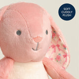 Itzy Ritzy Sweetie Snuggles Plush Toy-Pink Bunny_3 - ANB Baby