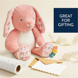 Itzy Ritzy Sweetie Snuggles Plush Toy-Pink Bunny_5 - ANB Baby