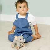 Little Big Friends Vincent The Elephant Pull Along_7 - ANB Baby