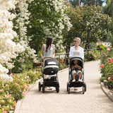 NUNA-MIXX-Next-Stroller-with-Magnetic-Buckle_9. - ANB Baby