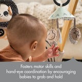 Tiny Love Developmental Gymini-Black & White_9 - ANB Baby