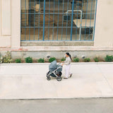 UPPAbaby Bassinet V3-Callum_18 - ANB Baby