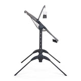 Baby Delight Bloom Soothing Adjustable Seat - ANB Baby