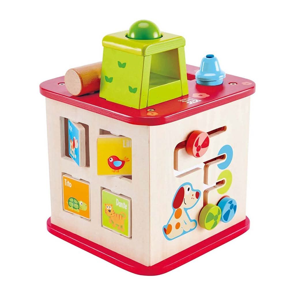 HAPE Friendship Activity Cube - ANB Baby
