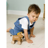 Little Big Friends Charles The Horse Pull Along - ANB Baby