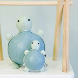 Little Big Friends Emilie the Tiny Turtle - ANB Baby