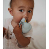 Natruba Peacock Bath Toy - ANB Baby