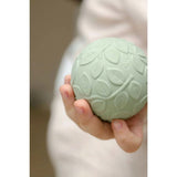 Natruba Rubber Leaf Sensory Ball Set - ANB Baby