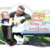 Phil & Teds V2 Lobster Portable Highchair - ANB Baby