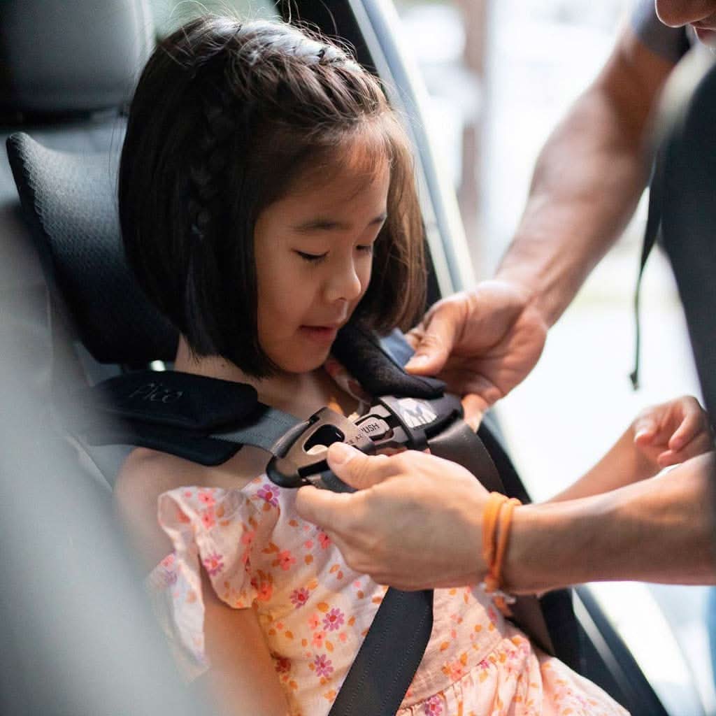 Wayb Pico Forward Facing Travel Car Seat - ANB Baby