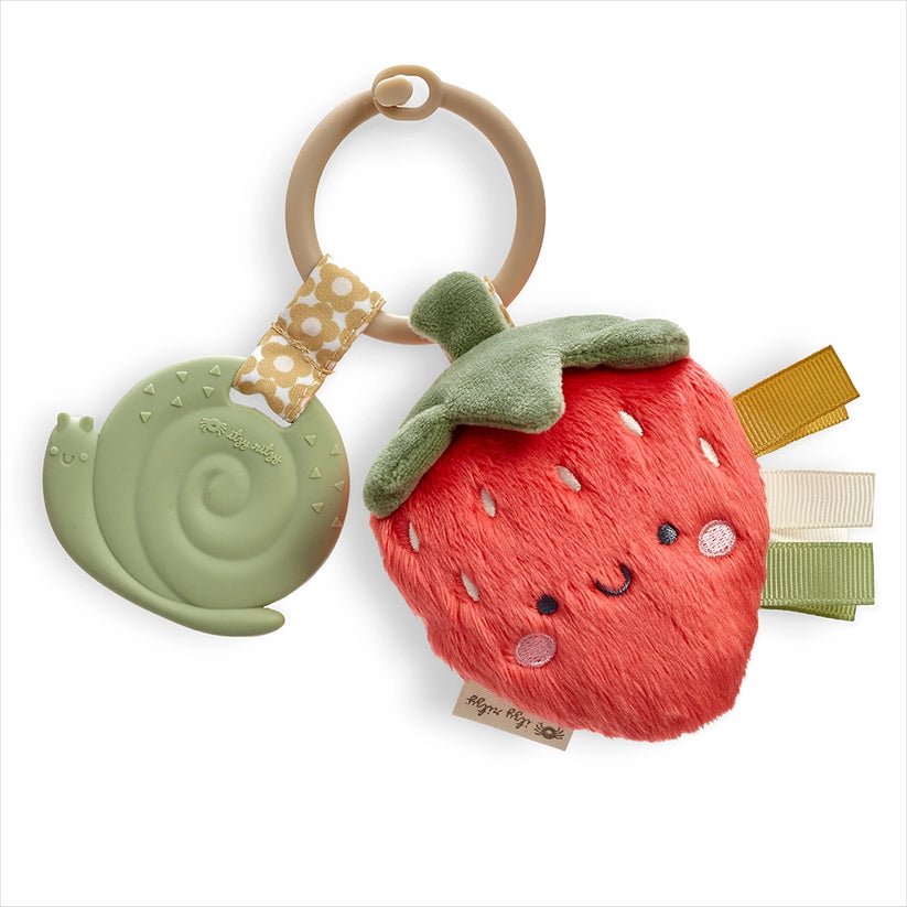 Itzy Ritzy Pal Plush with Teether, -- ANB Baby
