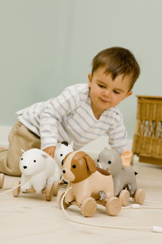 Little Big Friends Adrien The Dog Pull Along, -- ANB Baby
