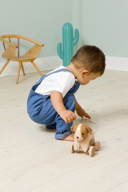 Little Big Friends Adrien The Dog Pull Along, -- ANB Baby