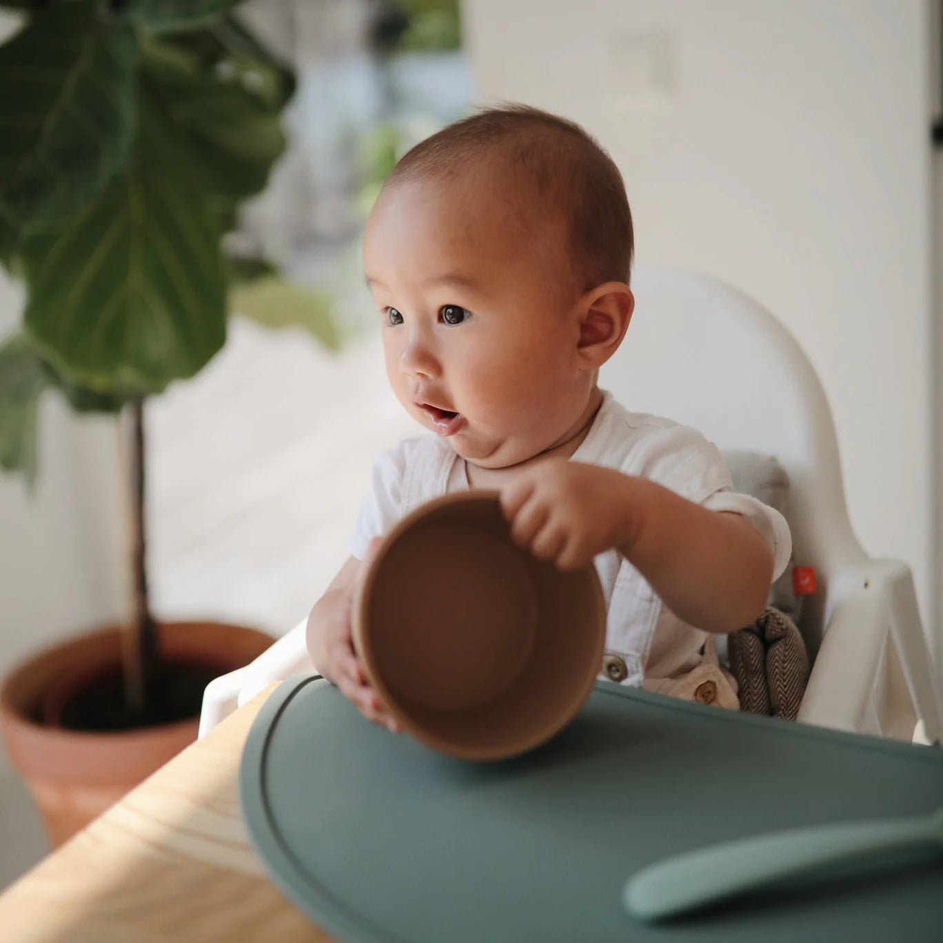 Mushie Silicone Suction Bowl, -- ANB Baby