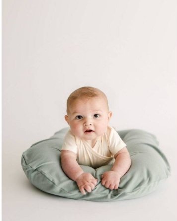 Snuggle Me Organic Cotton Covers, -- ANB Baby