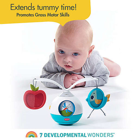 TINY LOVE Tummy Time Mobile Entertainer, -- ANB Baby