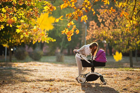 4 Reasons Why Baby Strollers Are Important - ANB Baby