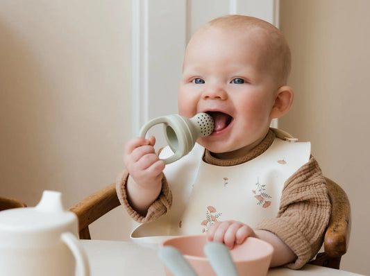 A Flavor Adventure! Why We Love Mushie Fresh Food Feeder - ANB BABY