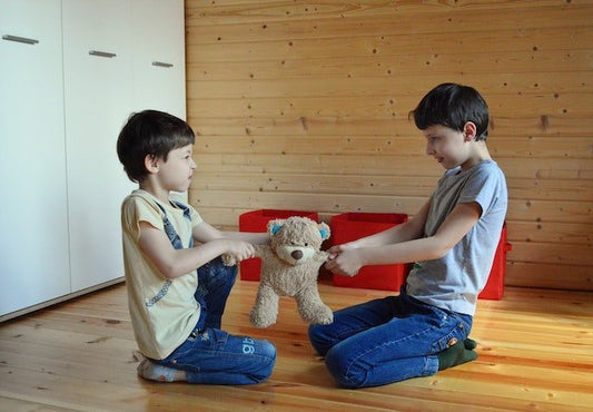 A Parenting Dialogue: How to Deal with Sibling Rivalry - ANB BABY