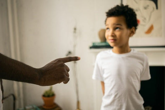 A Parenting Dialogue: What to Do if Another Parent Yells at Your Child - ANB BABY