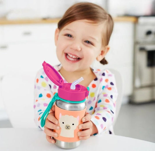 Chic Hydration! Why We Love Skip Hop Stainless Steel Bottles - ANB BABY