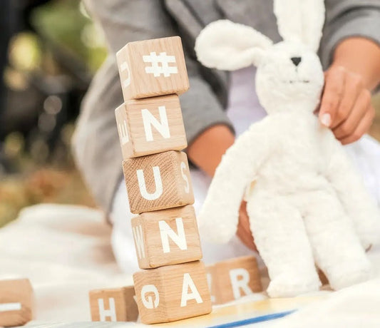 Eco-Friendly Baby Gear: Nuna's Innovative Approach - ANB BABY