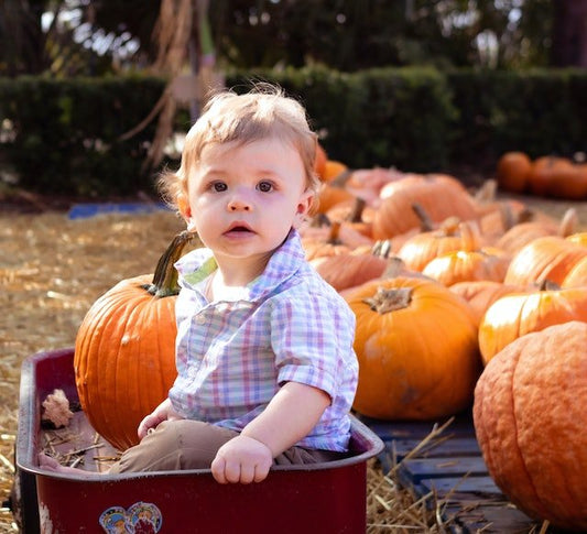 Grab a Wagon! 8 Fun Family Activities to Try This Fall - ANB Baby