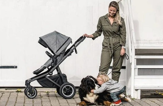 What We Love About Thule Sleek: A Versatile City Stroller - ANB BABY