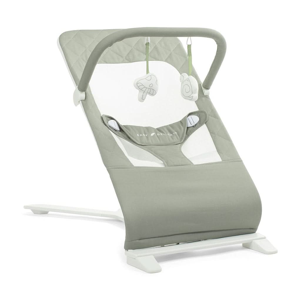 Baby Delight Alpine Deluxe Portable Bouncer-Bouncers & Rockers-Baby Delight-Organic Sage-ANB Baby Store