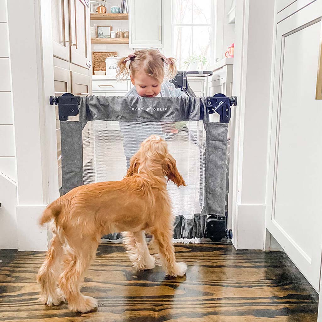 Baby Delight Span Expandable Folding Gate Life 2 - ANB Baby