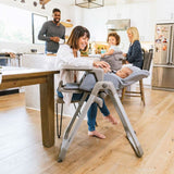 INGLESINA My Time Highchair, ANB BABY_1