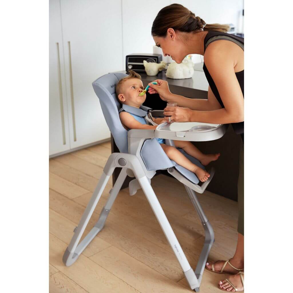 INGLESINA My Time Highchair, ANB Baby