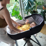Inglesina Electa Bassinet + Stand