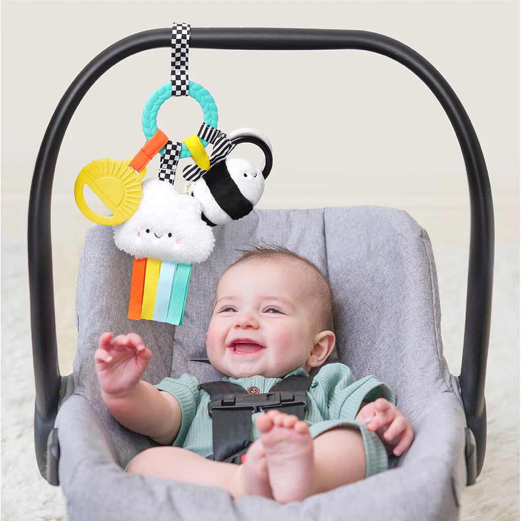 Itzy Ritzy Bitzy Busy Ring Teething Activity Toy, High Contrast_1  - ANB Baby