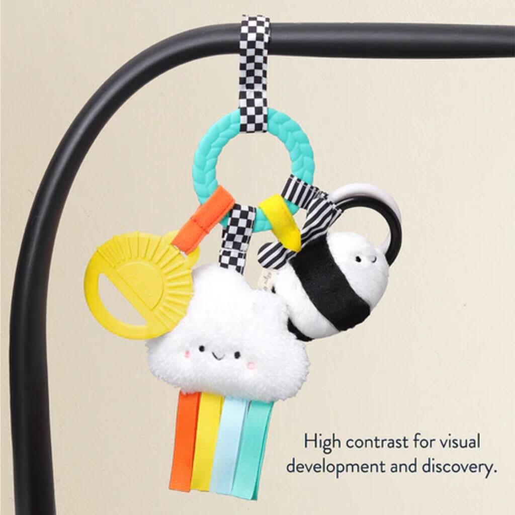 Itzy Ritzy Bitzy Busy Ring Teething Activity Toy, High Contrast_6 - ANB Baby