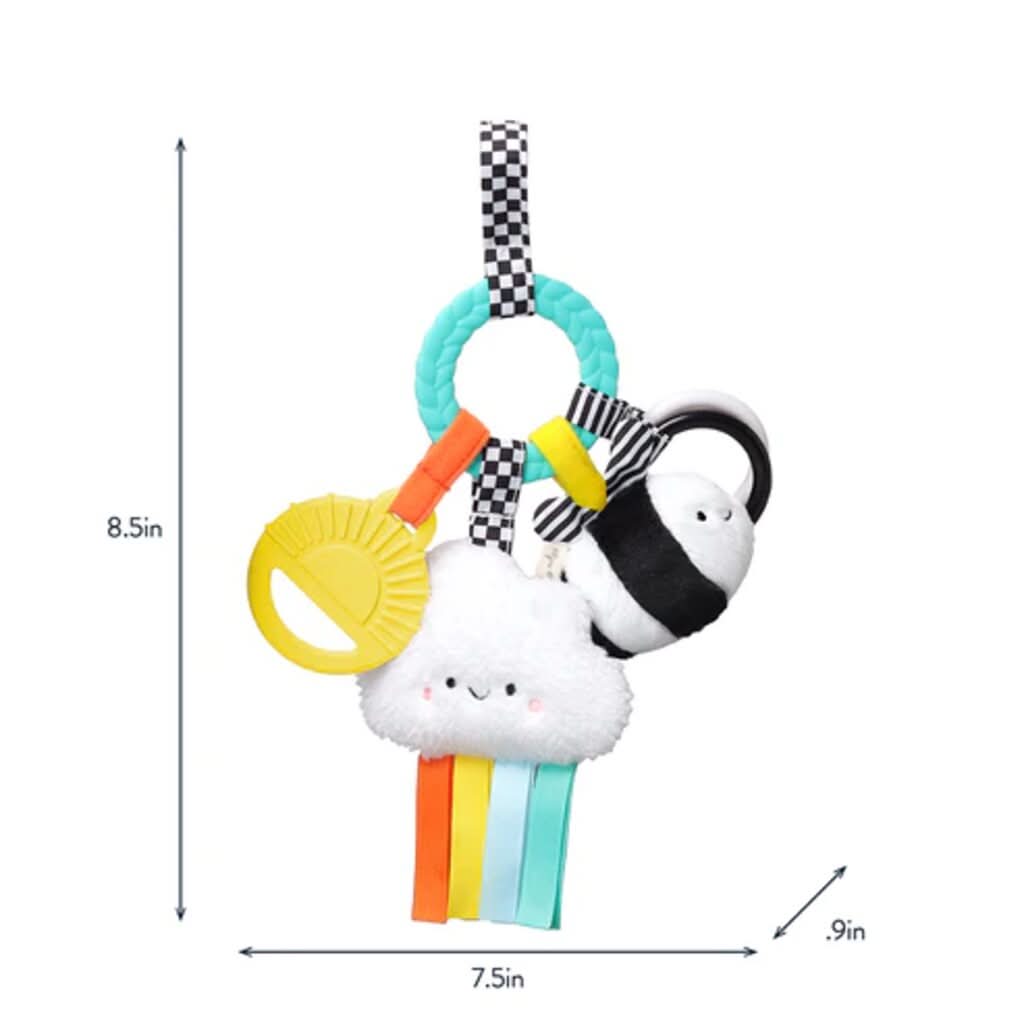 Itzy Ritzy Bitzy Busy Ring Teething Activity Toy, High Contrast_8  - ANB Baby