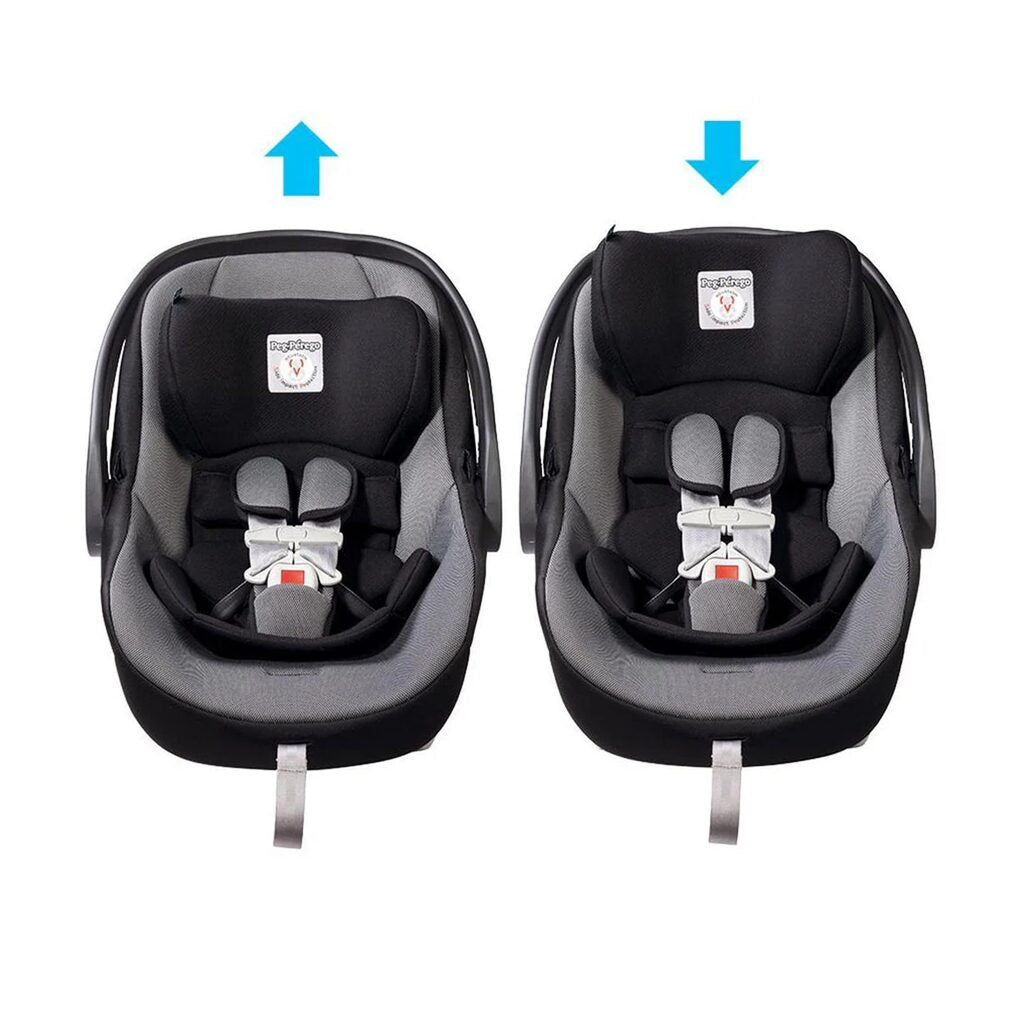 Primo Viaggio 4-35 Car Seat Base Included, Onyx_3- ANB Baby