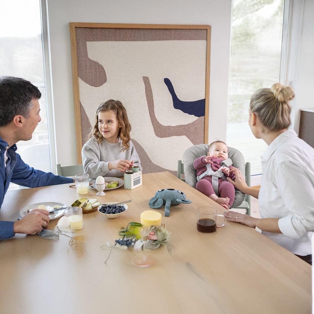 stokke newborn set grey Tripp Trapp Newborn Set by Stokke Anthracite