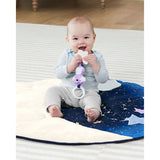 Skip-Hop-Baby-Play-Gym,-Celestial-Dreams_7 - ANB Baby