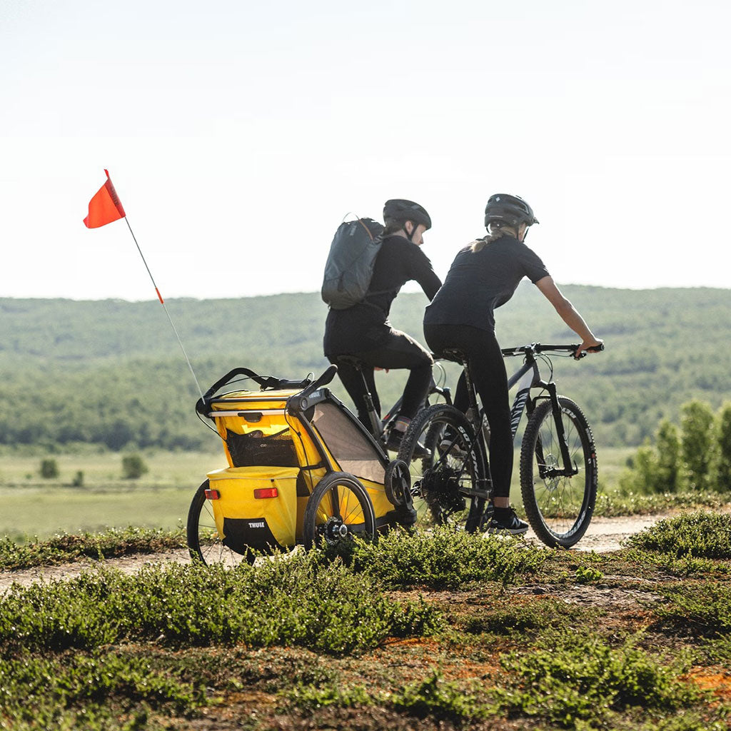 Thule-Chariot-Sport-1_7 - ANB Baby