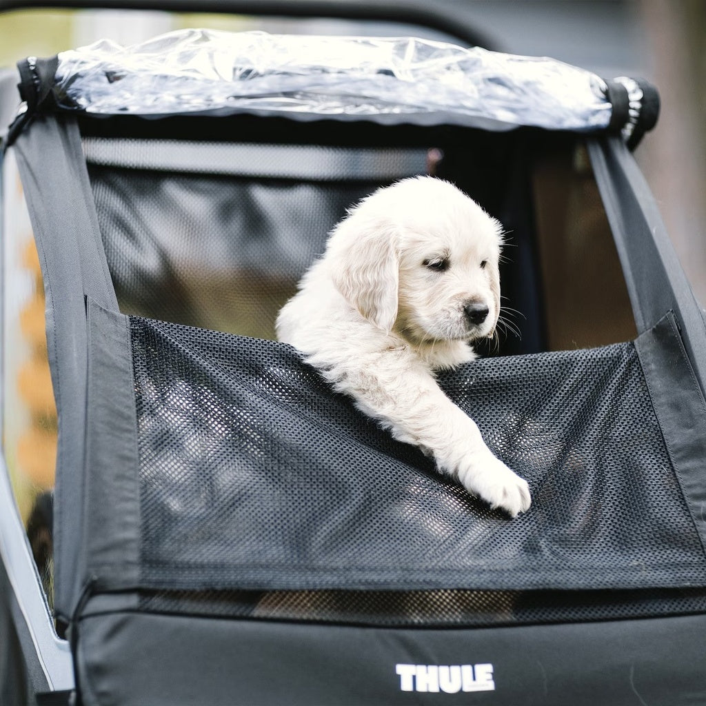 Thule Courier Pet Kit-Aegean Blue_7 - ANB Baby