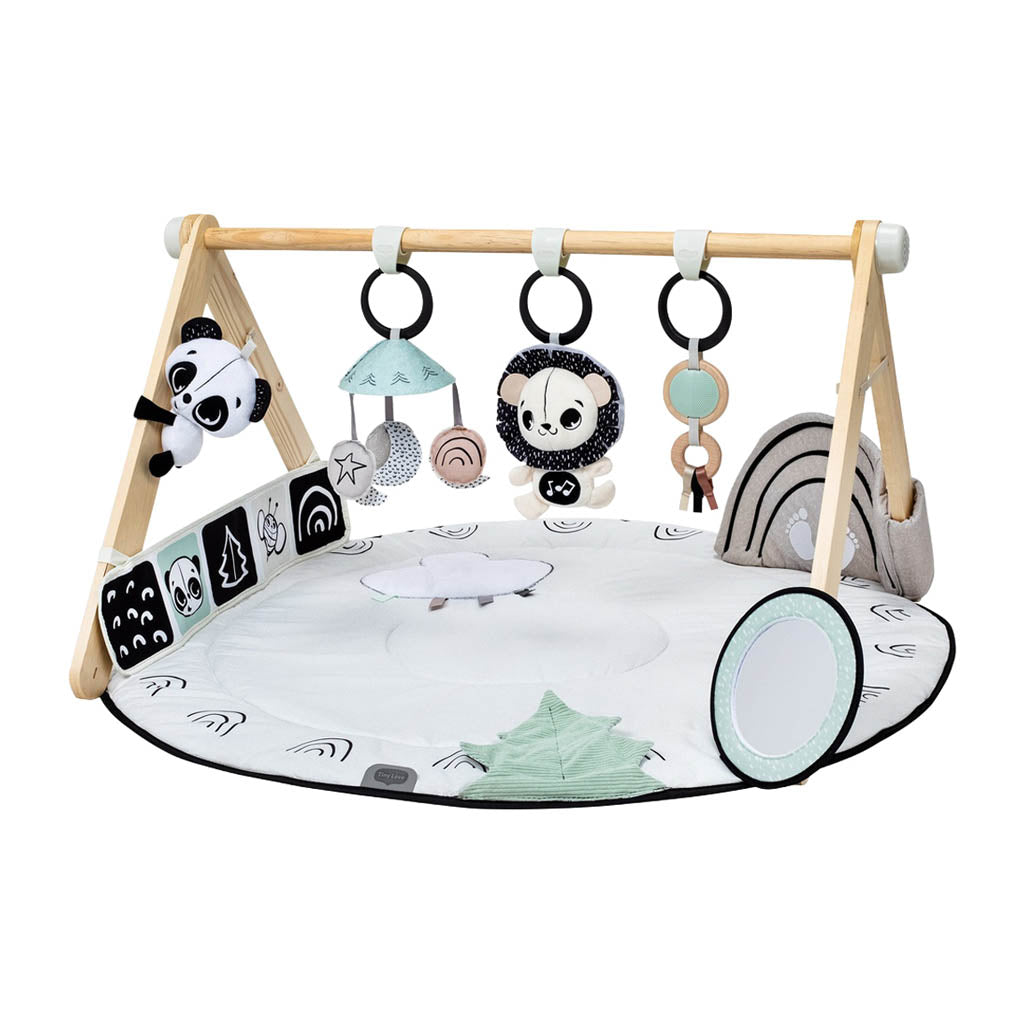 Tiny Love Developmental Gymini, Black & White-Walkers & Activity Centers-Tiny Love-Developmental Gymini-ANB Baby Store