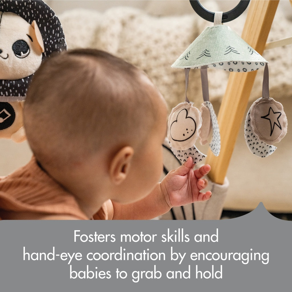 Tiny Love Developmental Gymini-Black & White_9 - ANB Baby