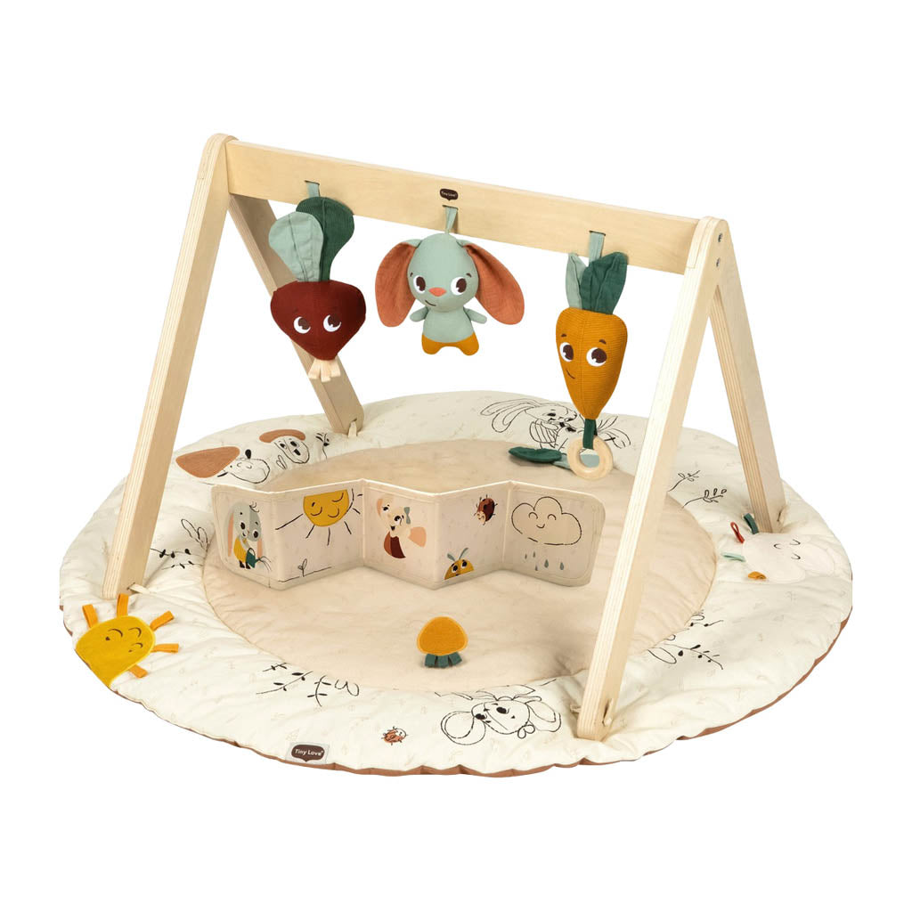 Tiny Love Developmental Gymini With Book, Garden of Advneture-Walkers & Activity Centers-Tiny Love-Gymini With Book-ANB Baby Store