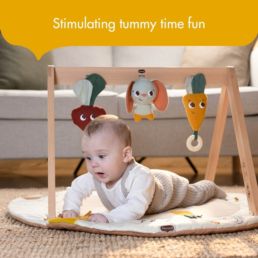 Tiny Love Developmental Gymini With Book-Garden of Advneture_8 - ANB Baby